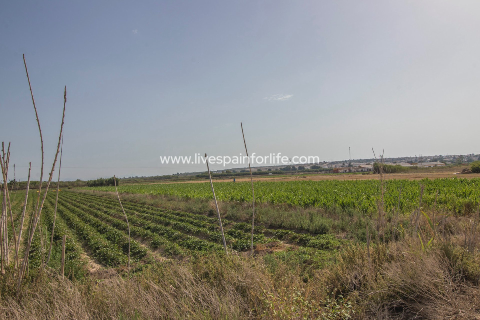 Resale - Plot of Land -
San Fulgencio