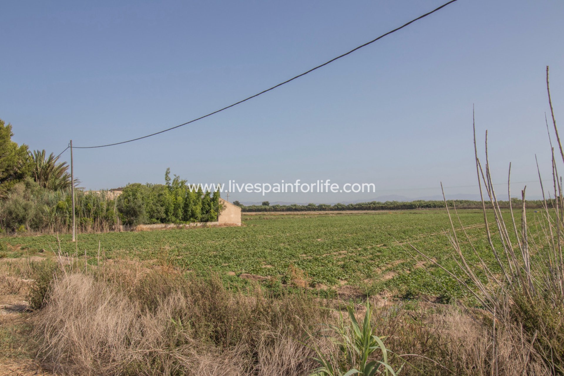 Resale - Plot of Land -
San Fulgencio