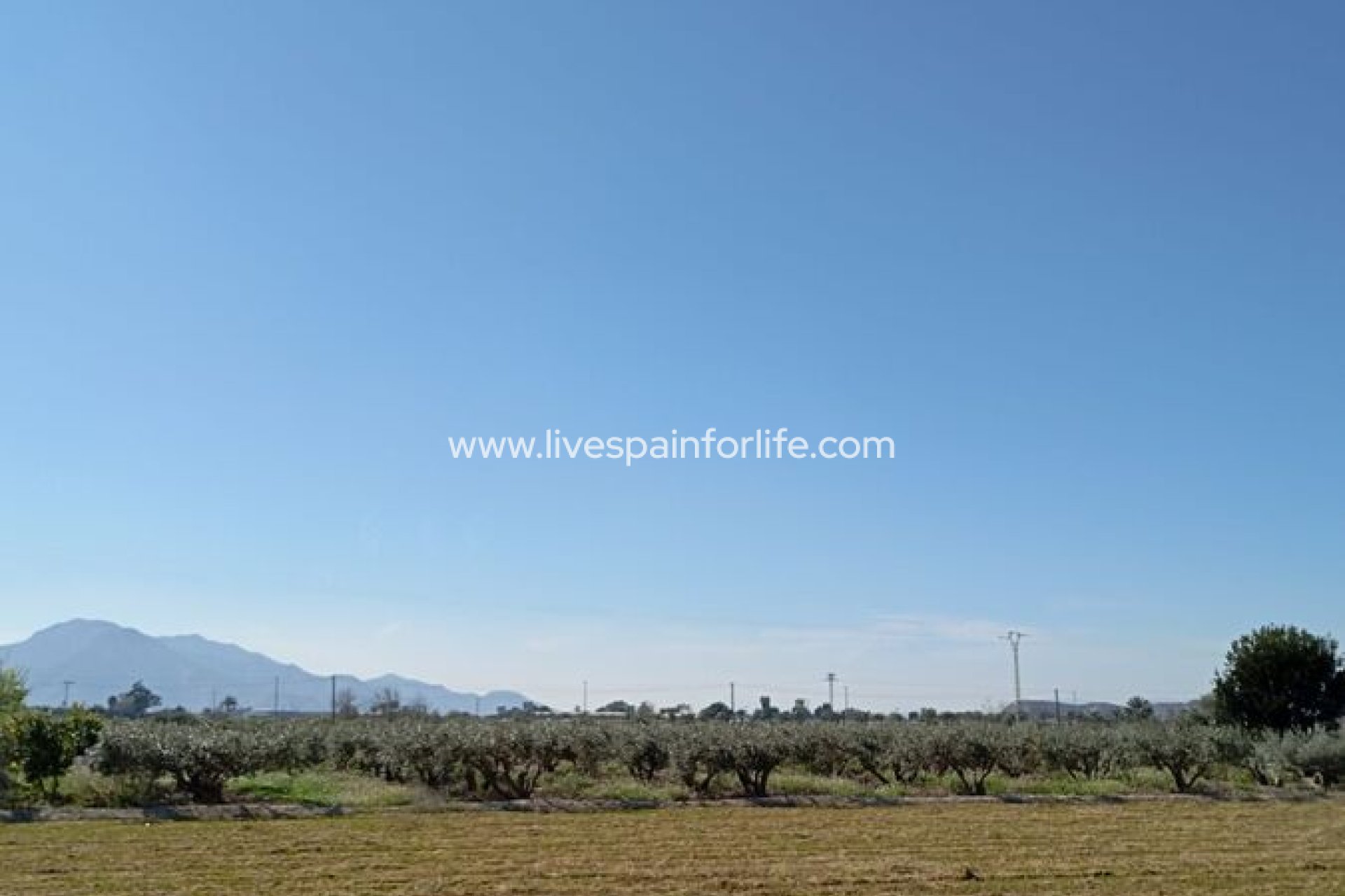 Resale - Town house -
Catral