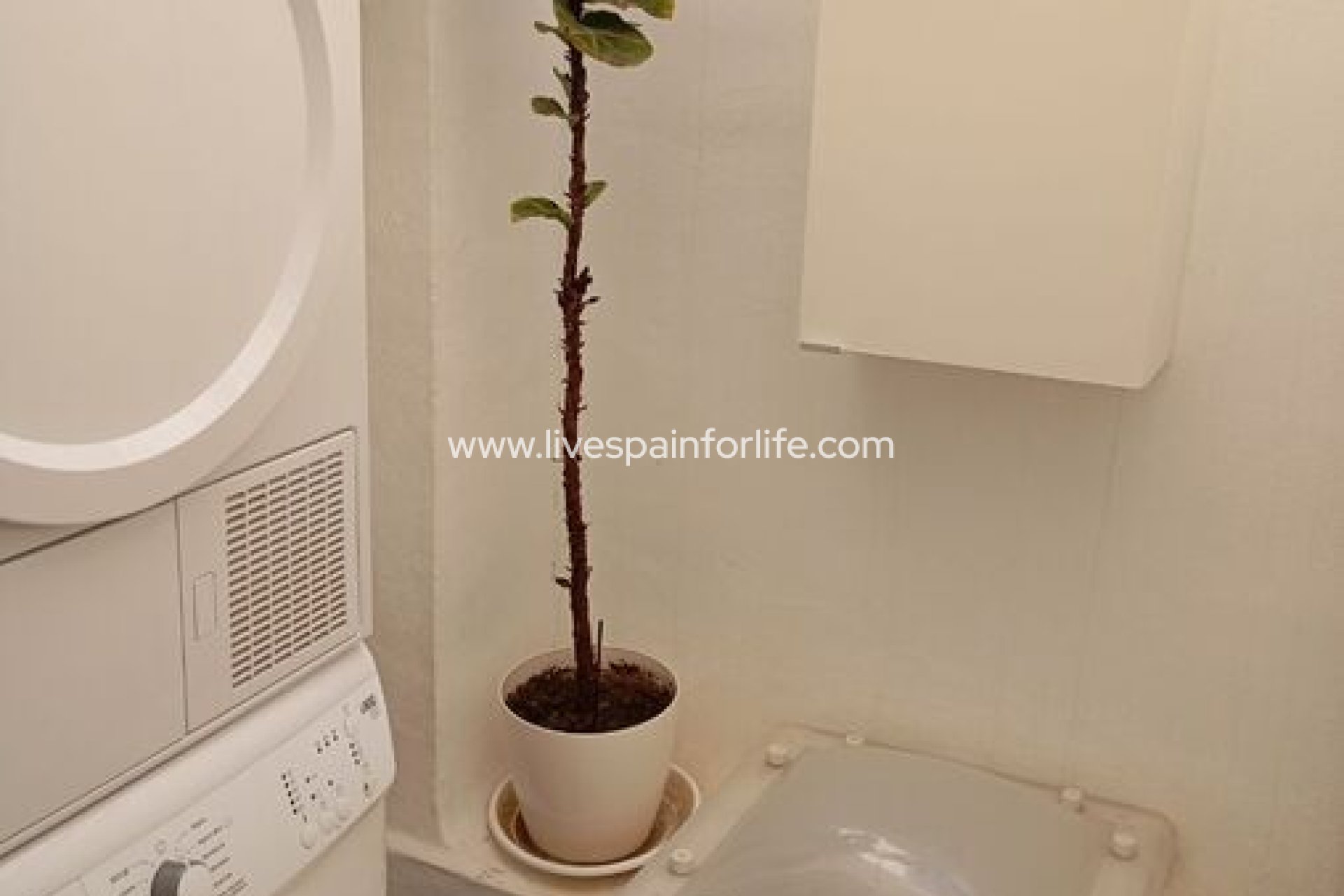 Resale - Town house -
Guardamar del Segura - Guardamar