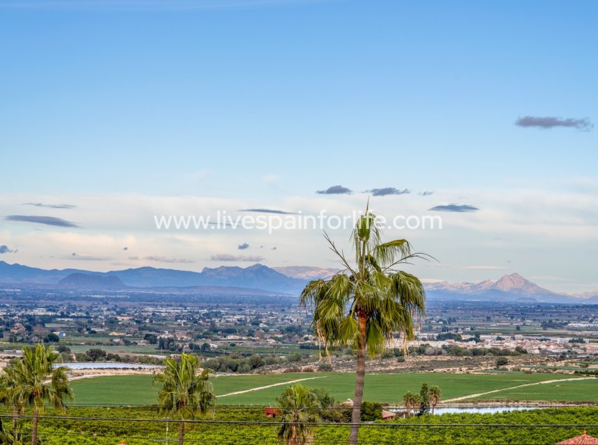 Resale - Villa (detached) -
Algorfa - Lomas de La Juliana