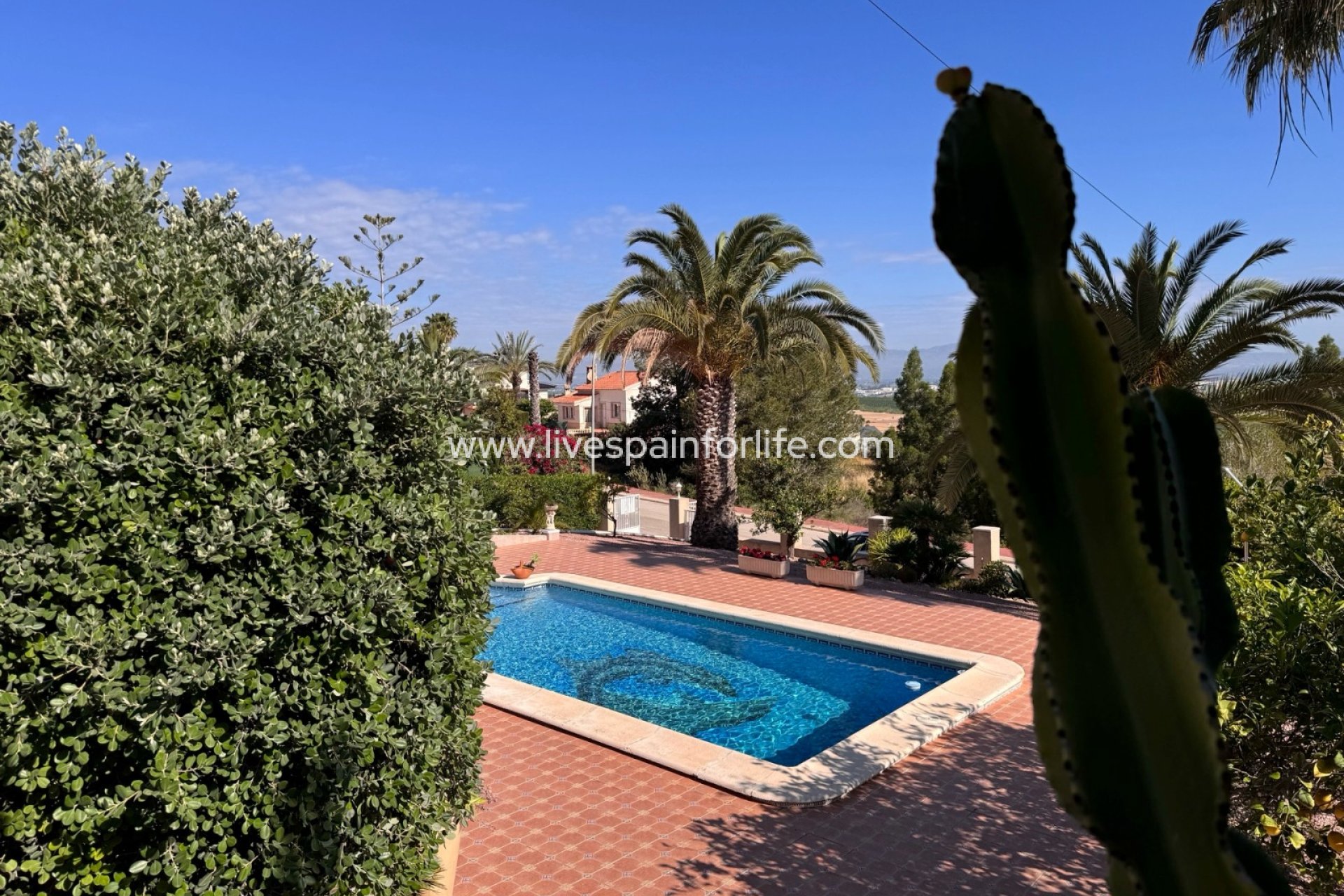Resale - Villa (detached) -
Algorfa - Lomas de La Juliana