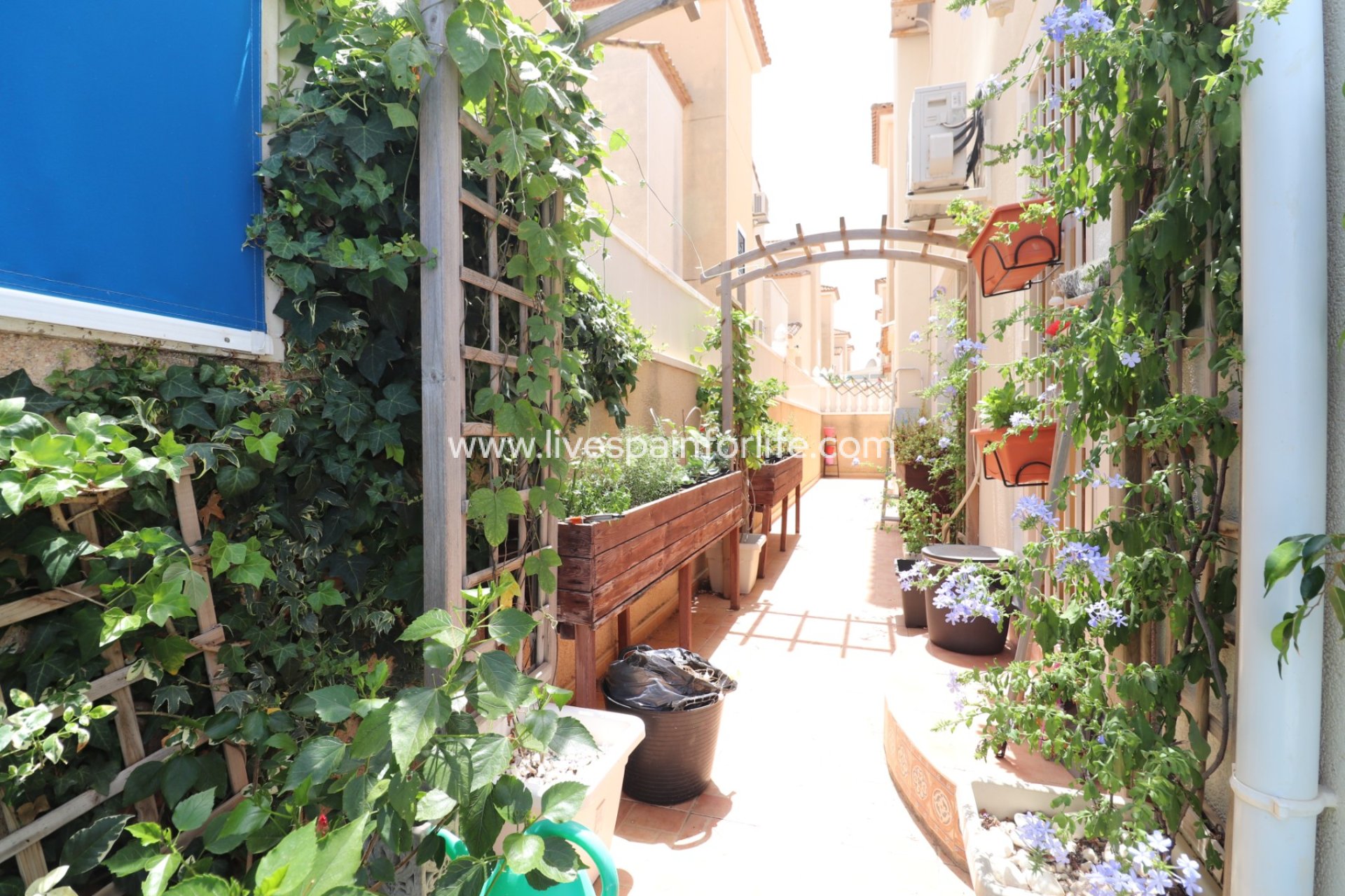 Resale - Villa (detached) -
Algorfa - Montebello