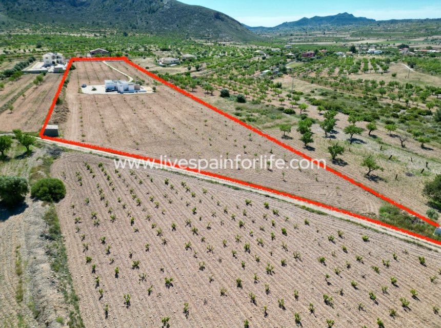 Resale - Villa (detached) -
Barbarroja
