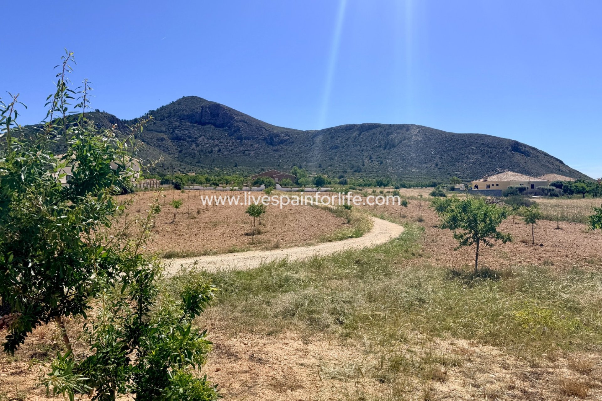 Resale - Villa (detached) -
Barbarroja