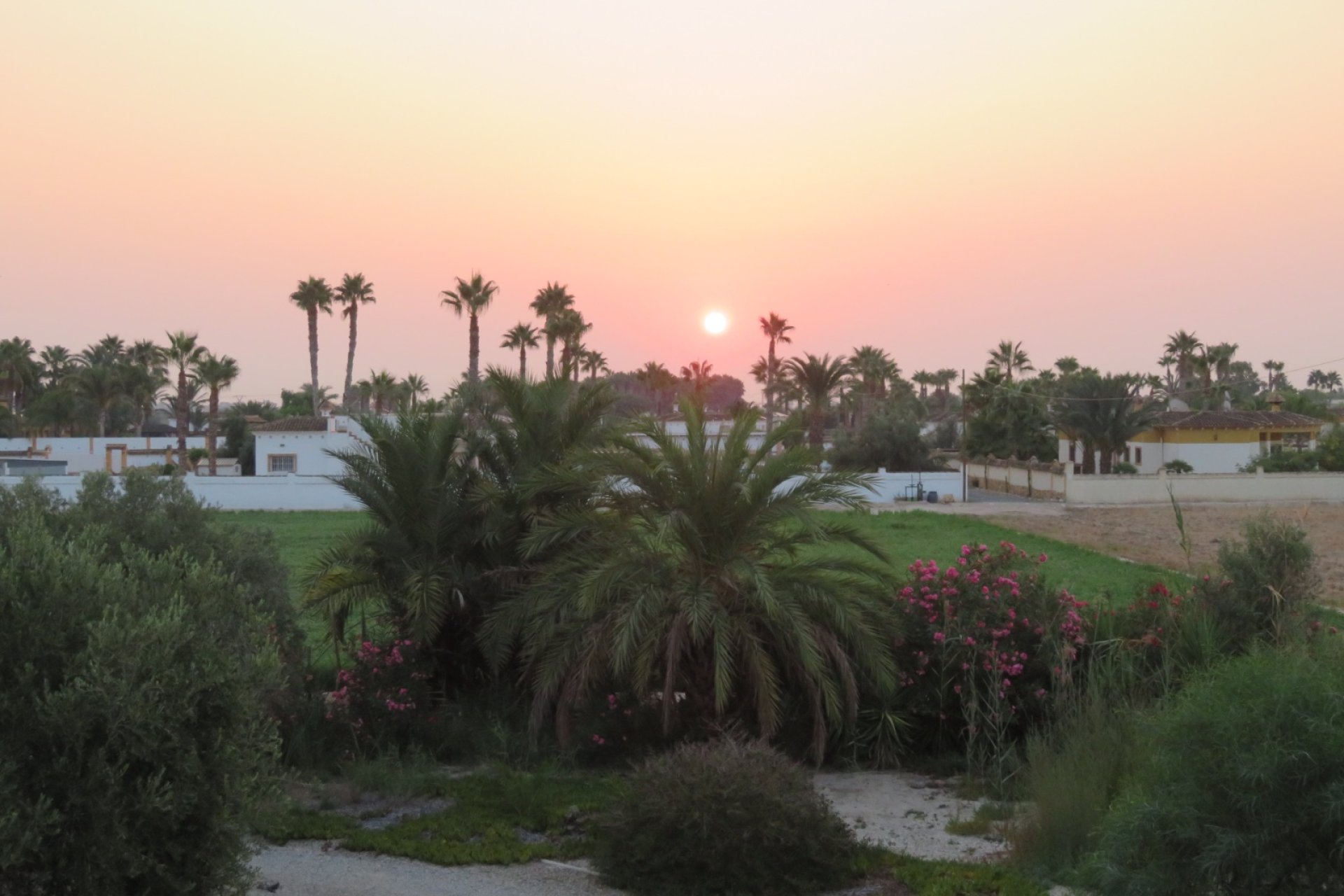 Resale - Villa (detached) -
Catral