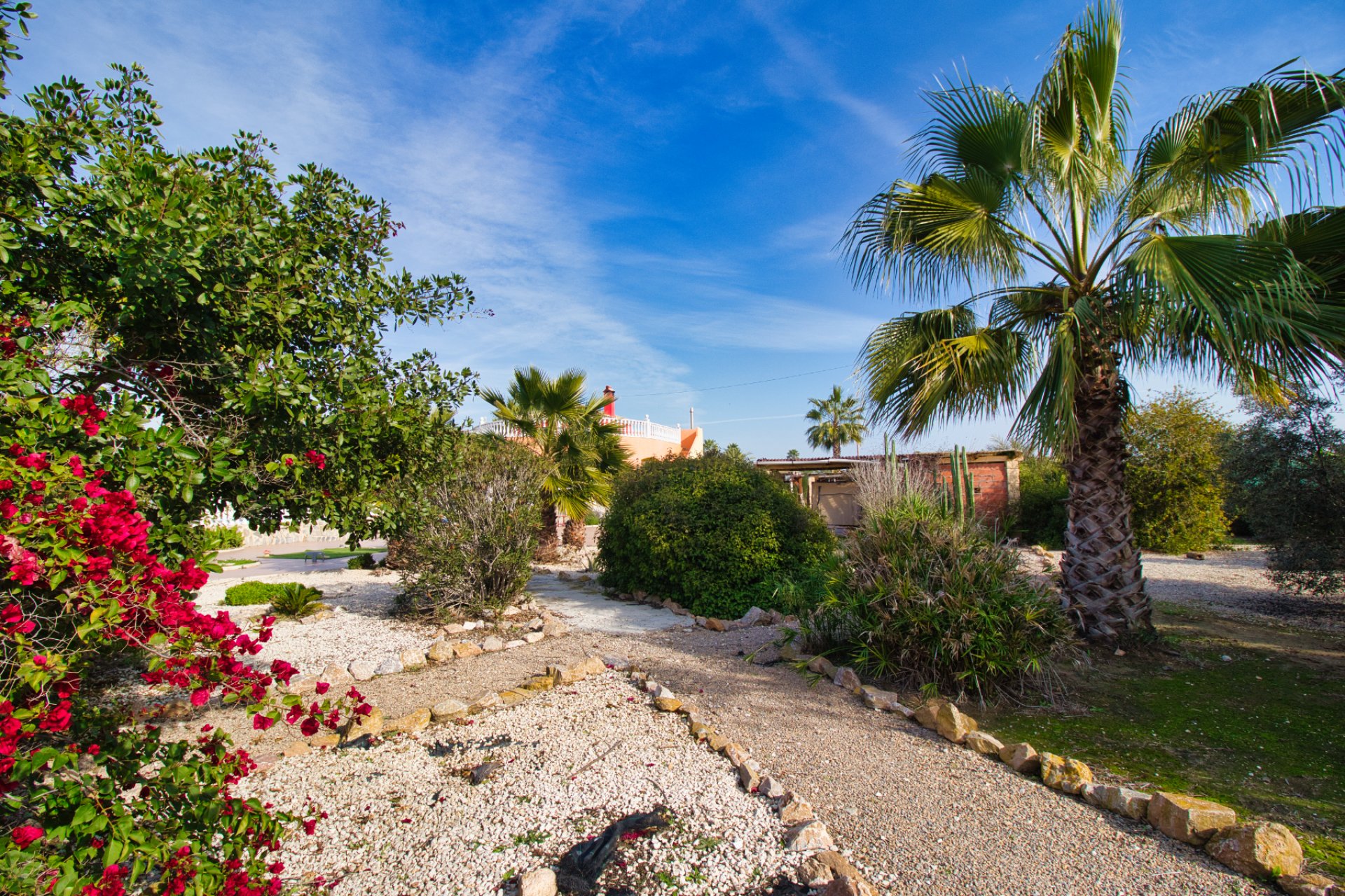 Resale - Villa (detached) -
Catral