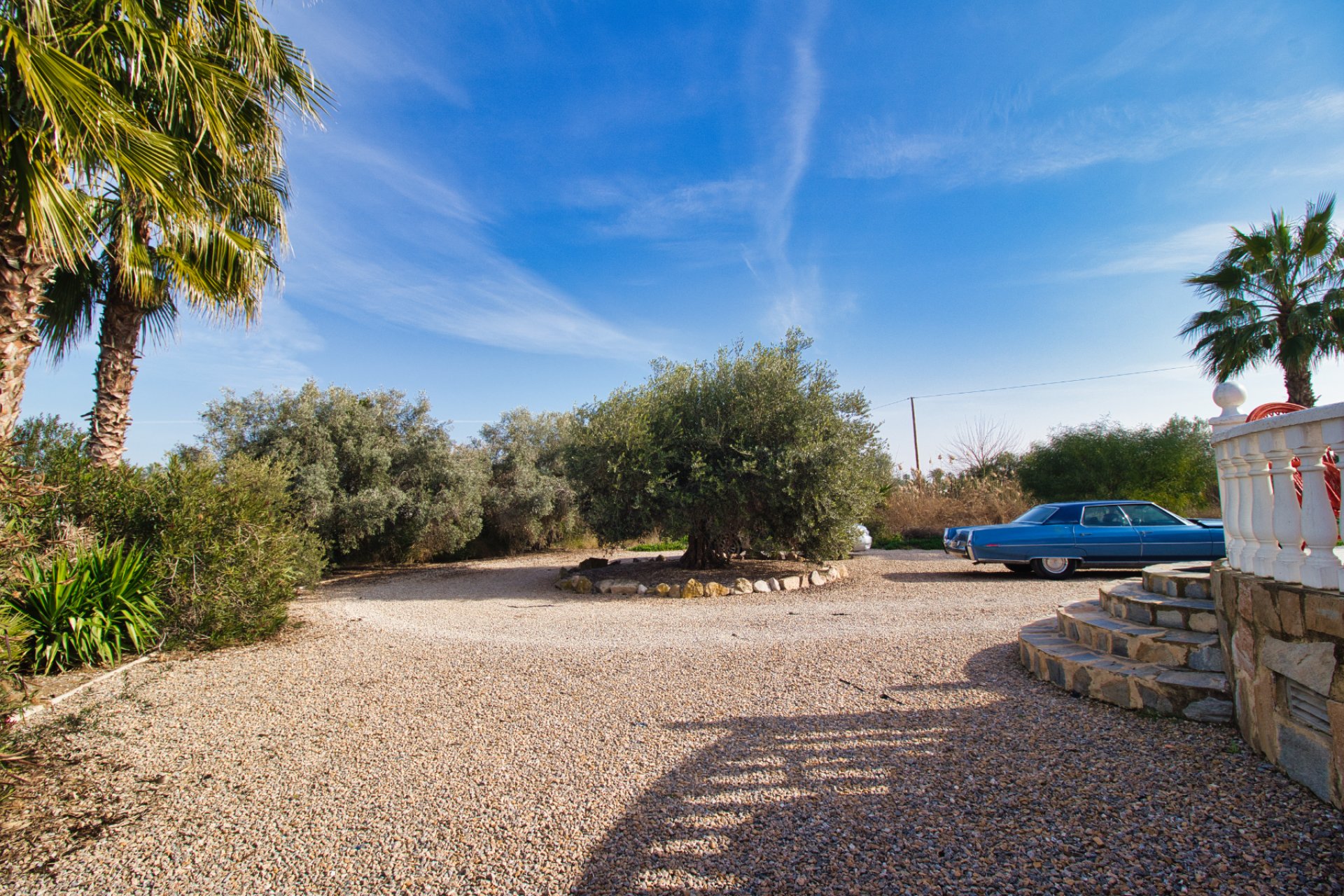 Resale - Villa (detached) -
Catral