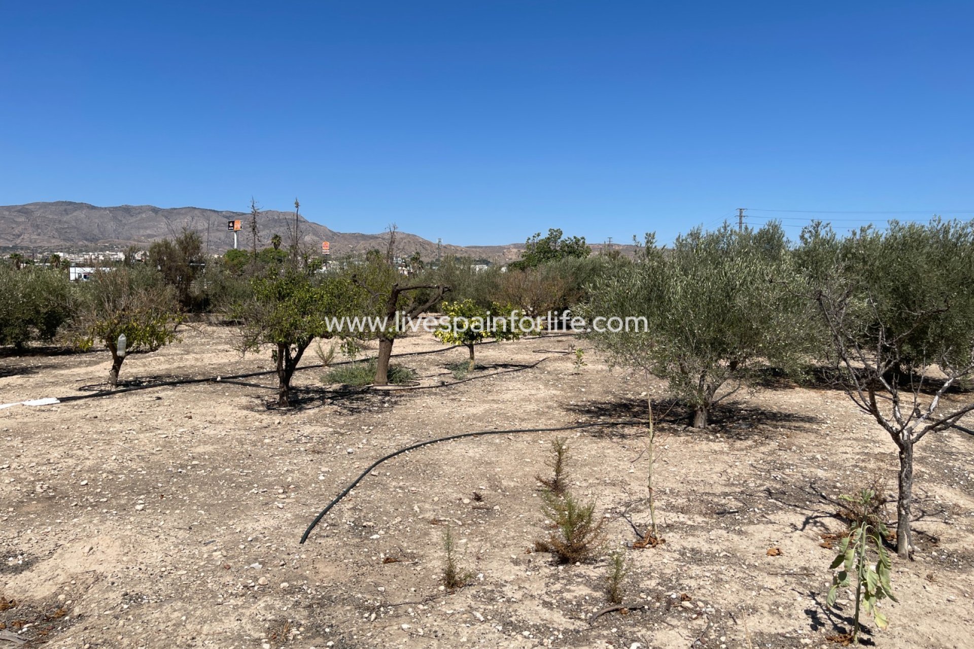 Resale - Villa (detached) -
Crevillent - Crevillente