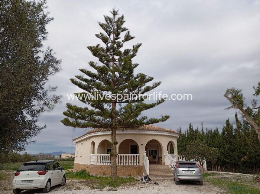 Resale - Villa (detached) -
Daya Vieja
