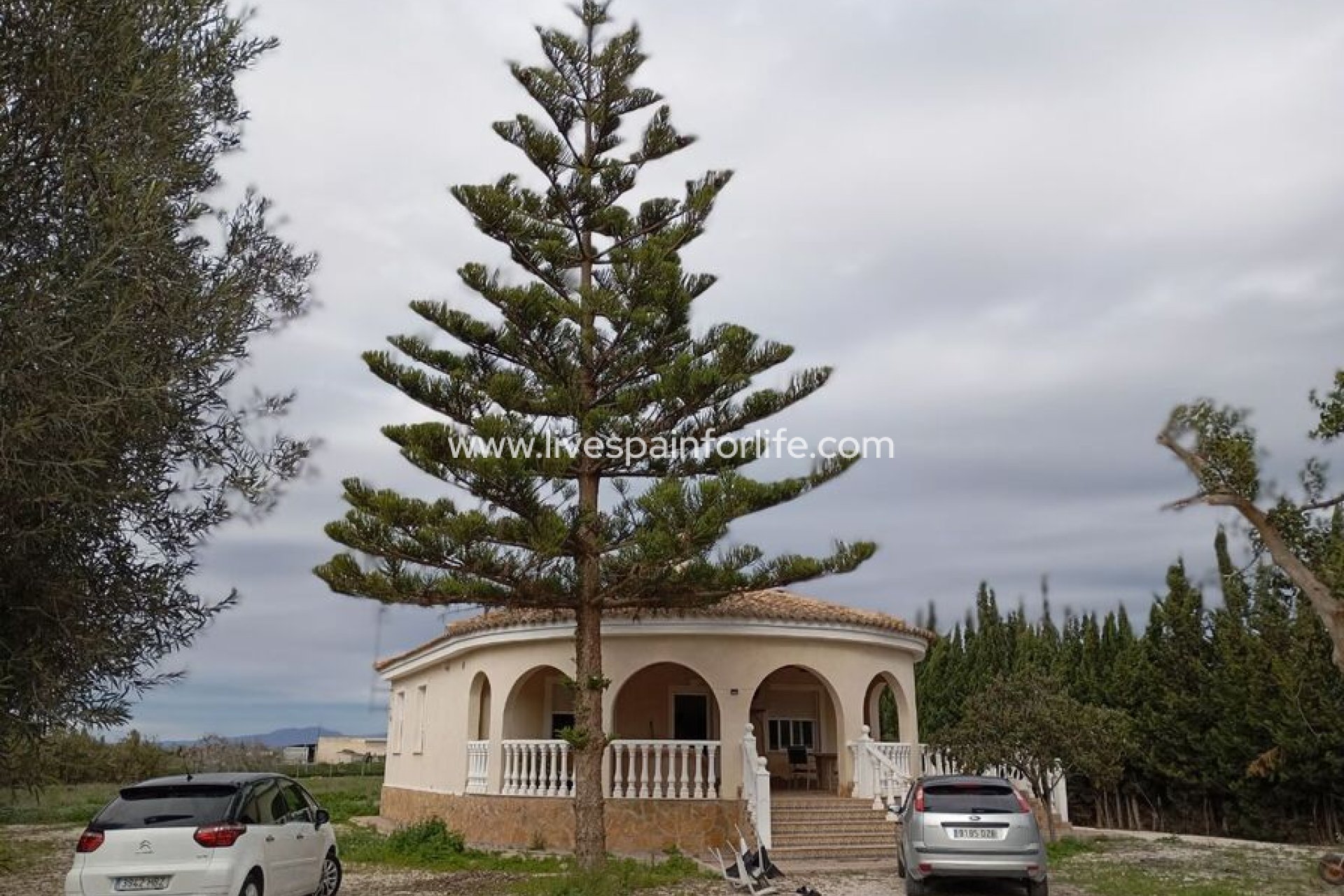 Resale - Villa (detached) -
Daya Vieja