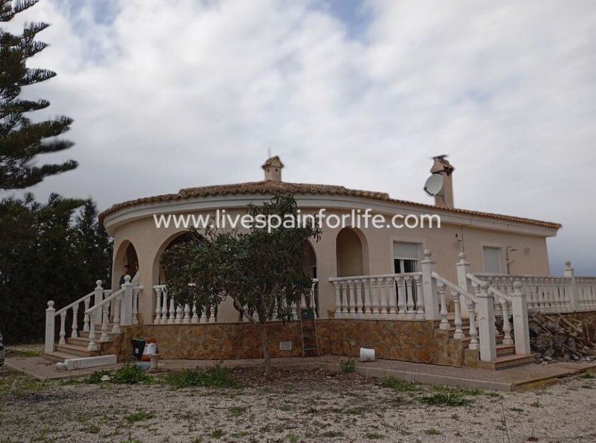 Resale - Villa (detached) -
Daya Vieja