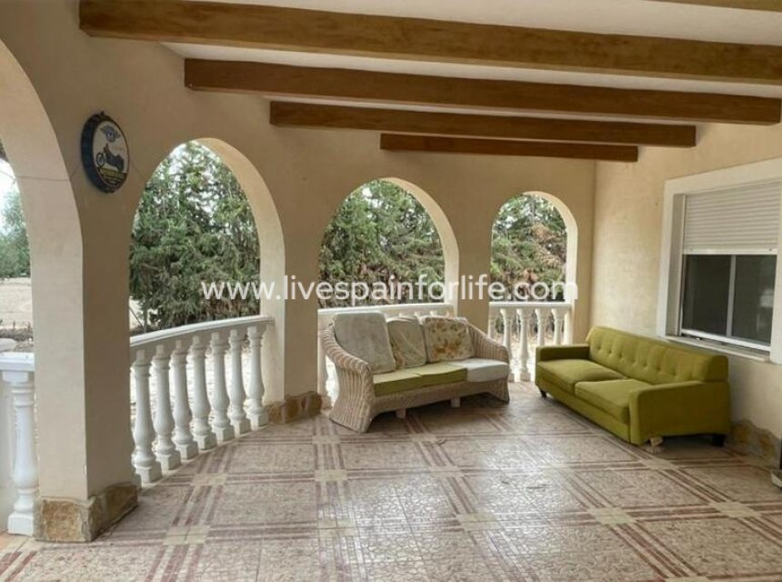Resale - Villa (detached) -
Daya Vieja