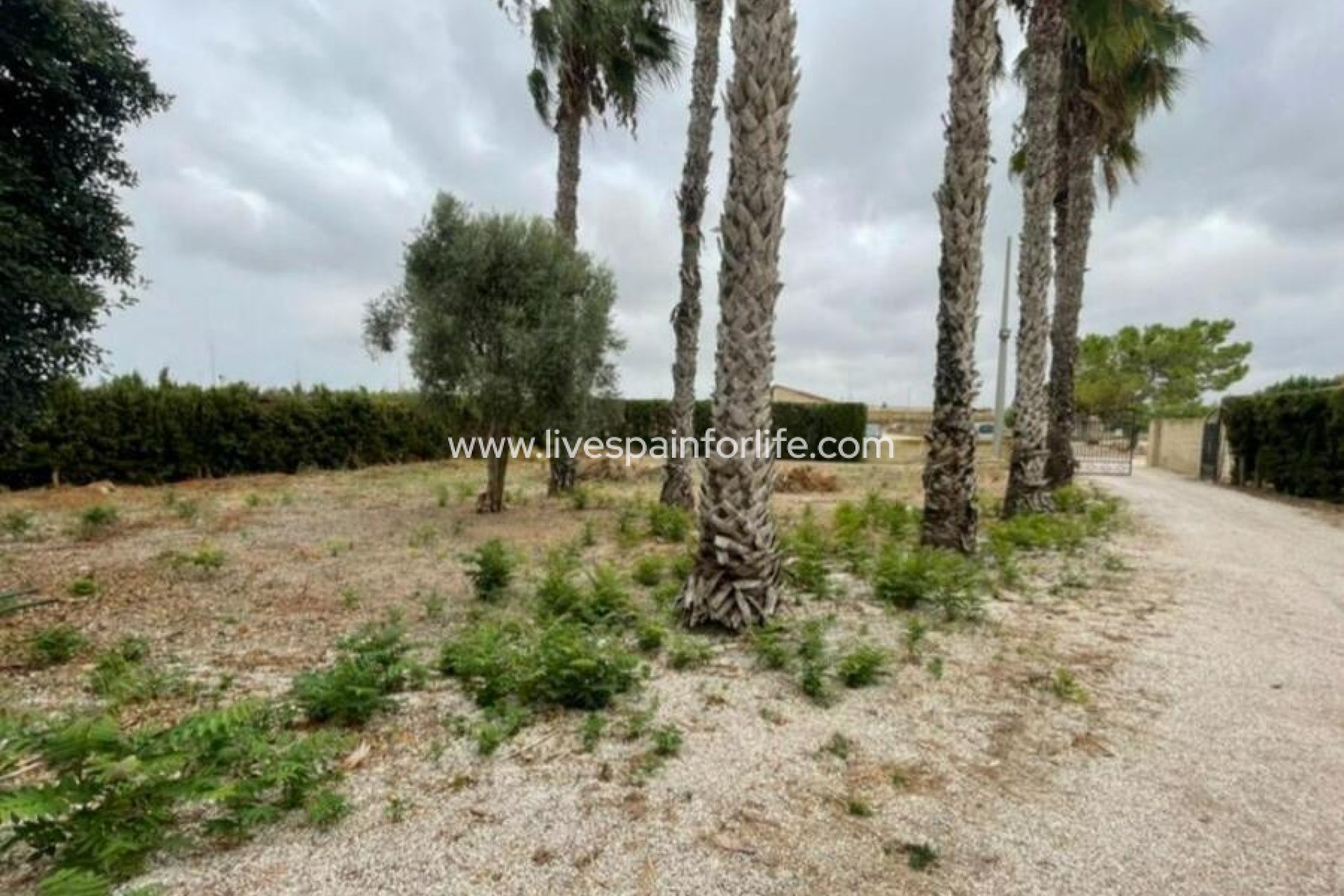 Resale - Villa (detached) -
Daya Vieja