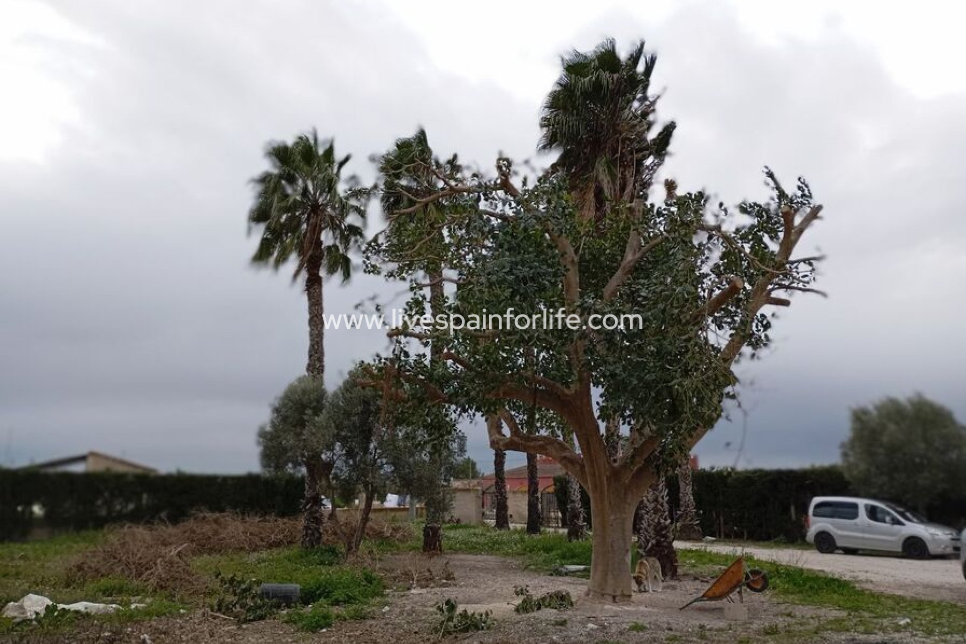 Resale - Villa (detached) -
Daya Vieja