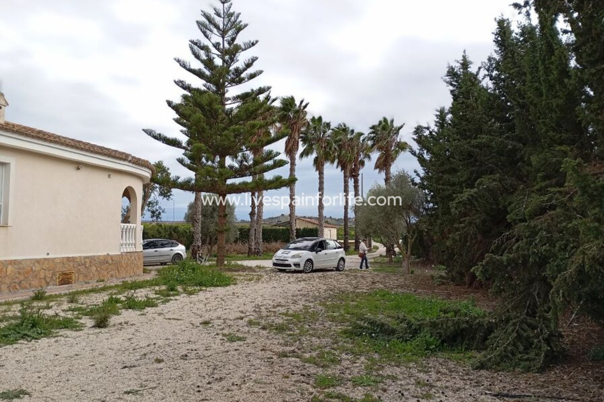 Resale - Villa (detached) -
Daya Vieja