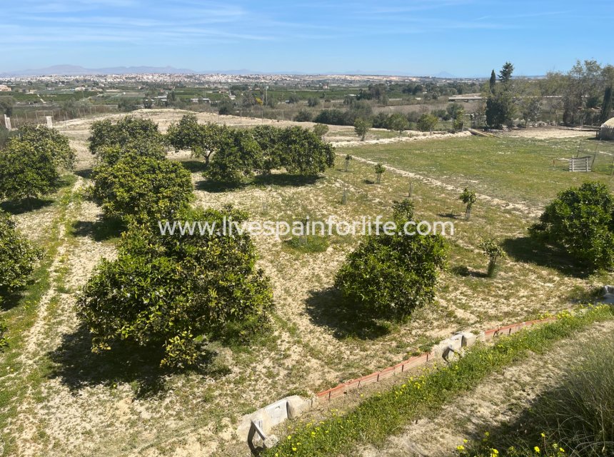 Resale - Villa (detached) -
Guardamar del Segura - Valencian Community