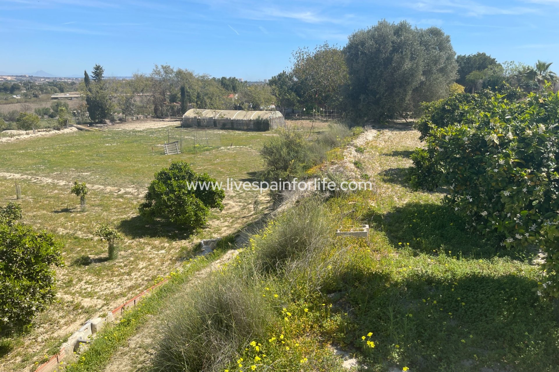 Resale - Villa (detached) -
Guardamar del Segura - Valencian Community