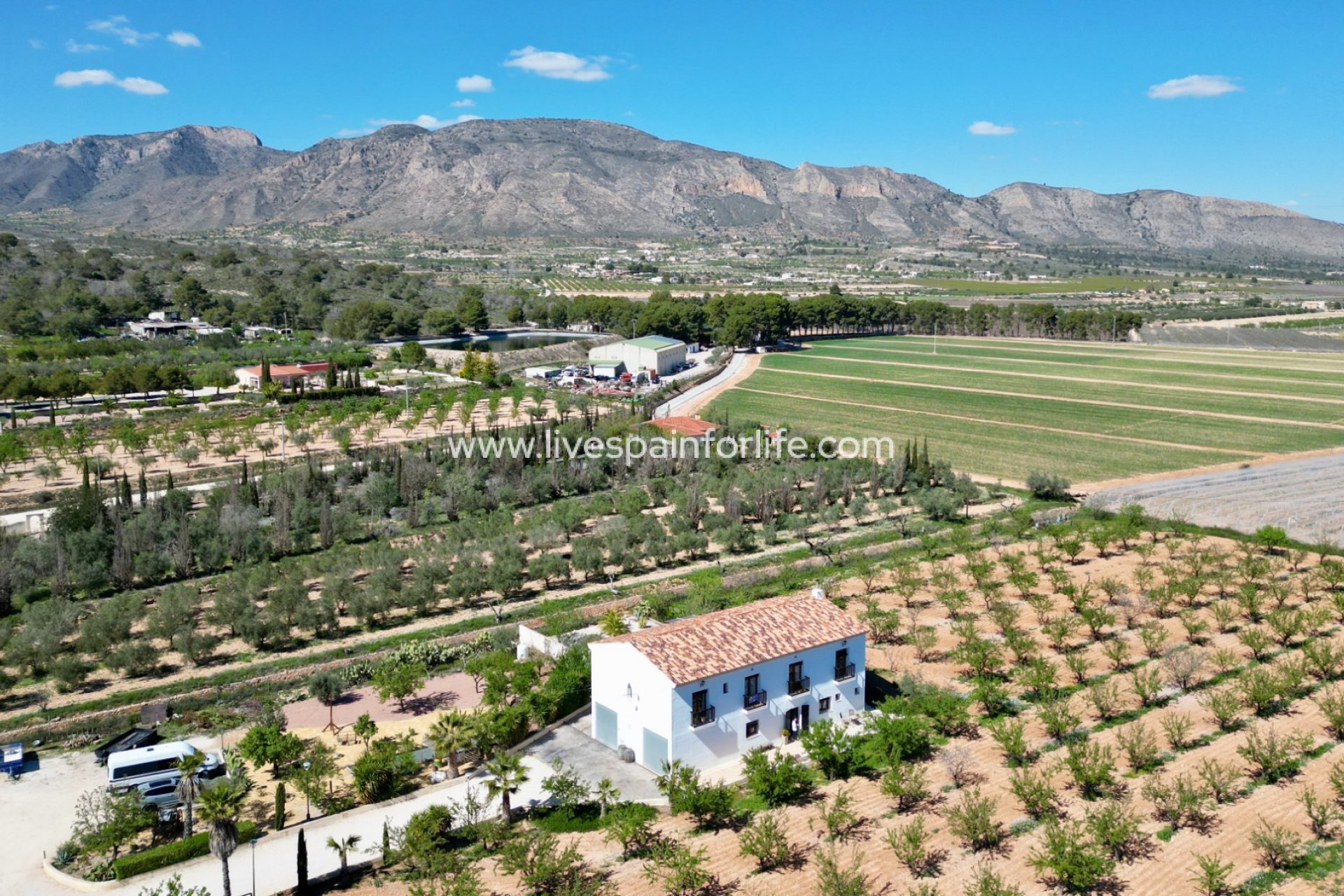 Resale - Villa (detached) -
Hondon De Las Nieves