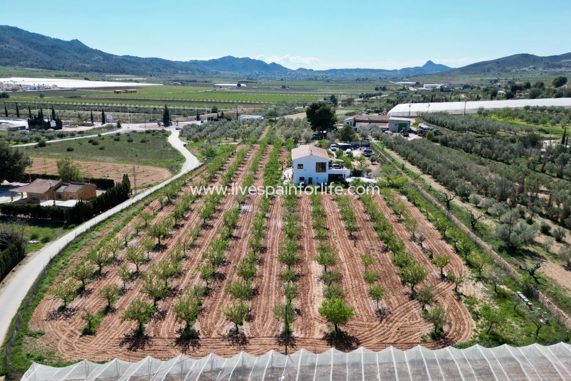 Resale - Villa (detached) -
Hondon De Las Nieves