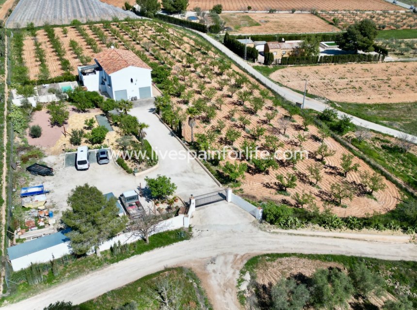 Resale - Villa (detached) -
Hondon De Las Nieves