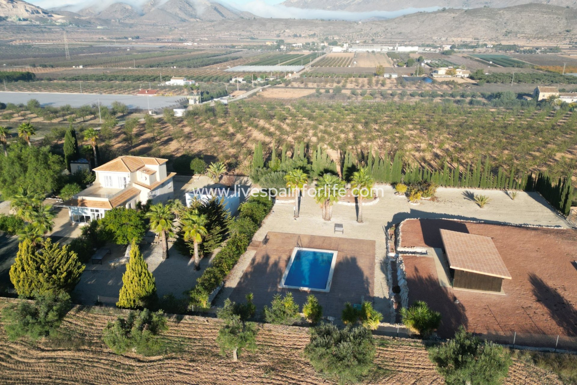 Resale - Villa (detached) -
Hondon De Las Nieves
