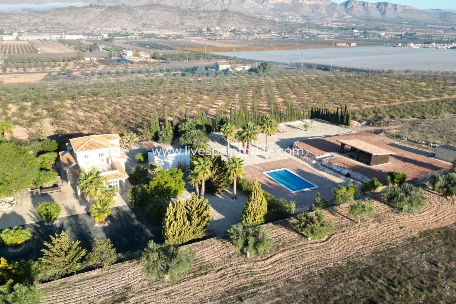 Resale - Villa (detached) -
Hondon De Las Nieves