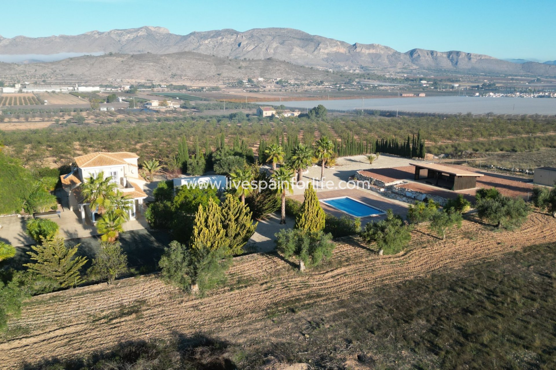Resale - Villa (detached) -
Hondon De Las Nieves