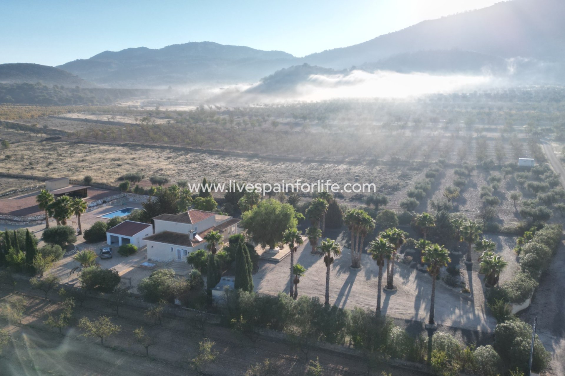Resale - Villa (detached) -
Hondon De Las Nieves