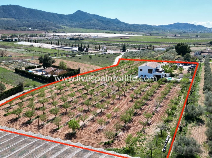 Resale - Villa (detached) -
Hondon De Las Nieves