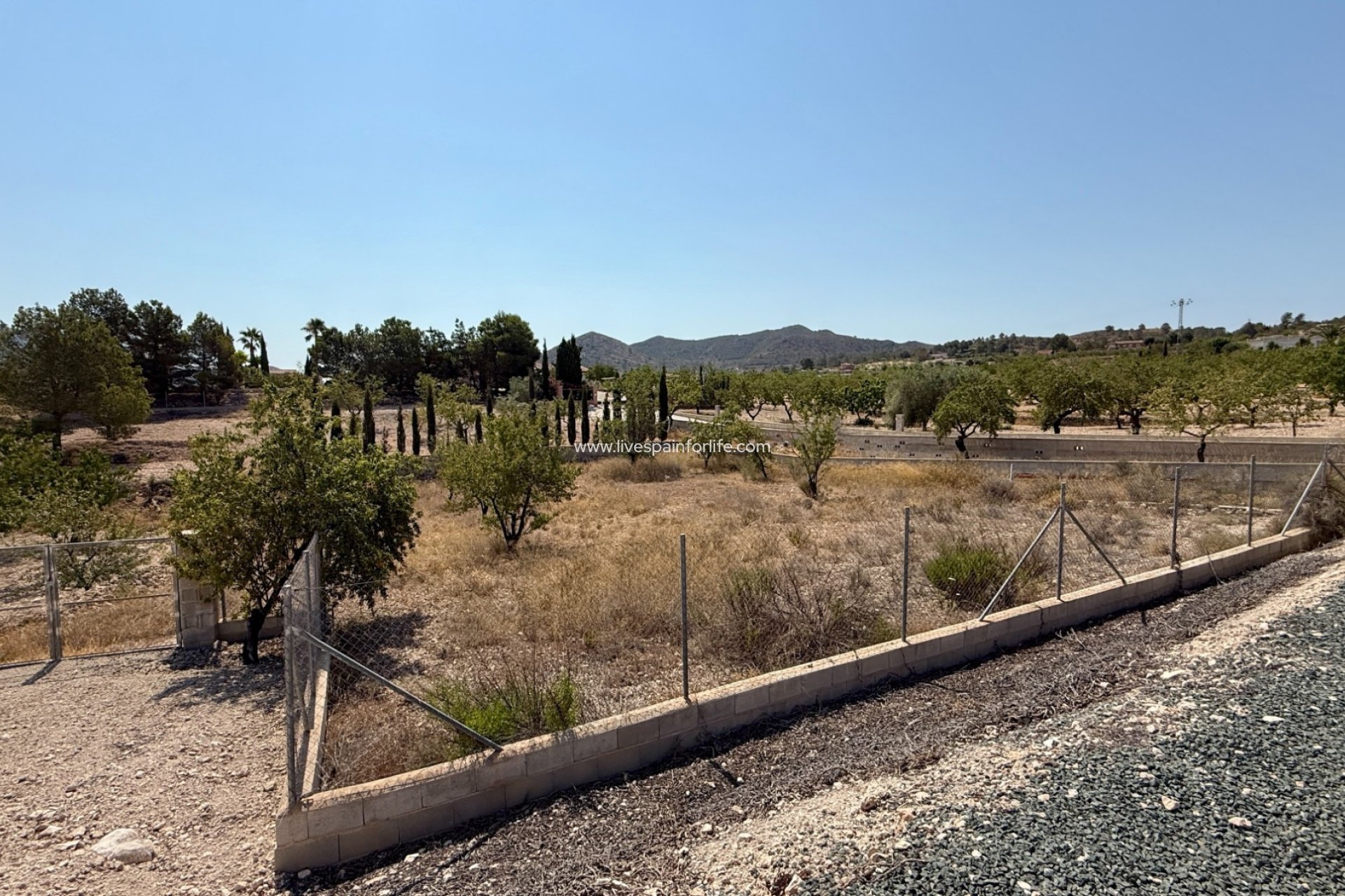 Resale - Villa (detached) -
Hondon De Los Frailes