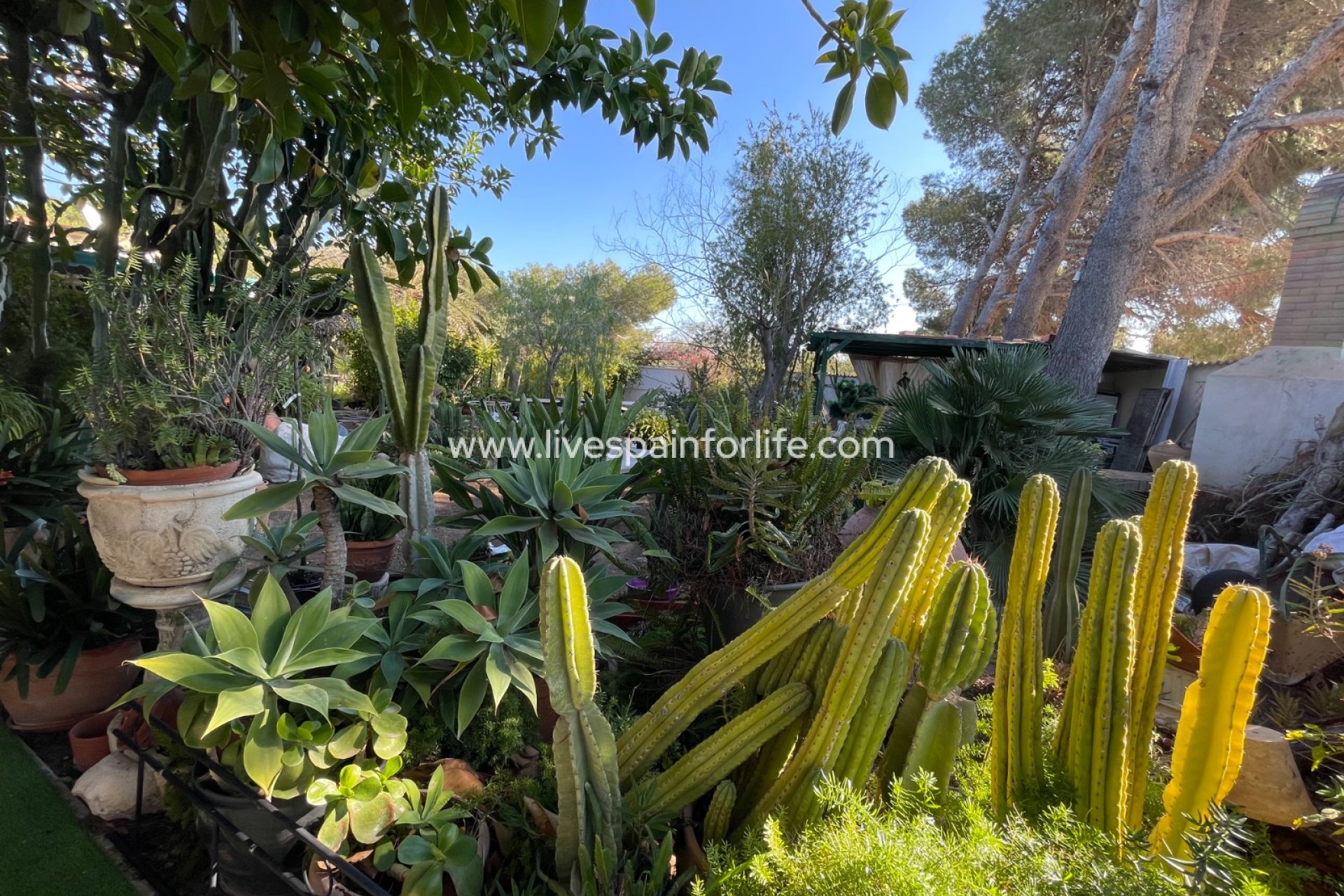 Resale - Villa (detached) -
Orihuela Costa - Lomas de Cabo Roig