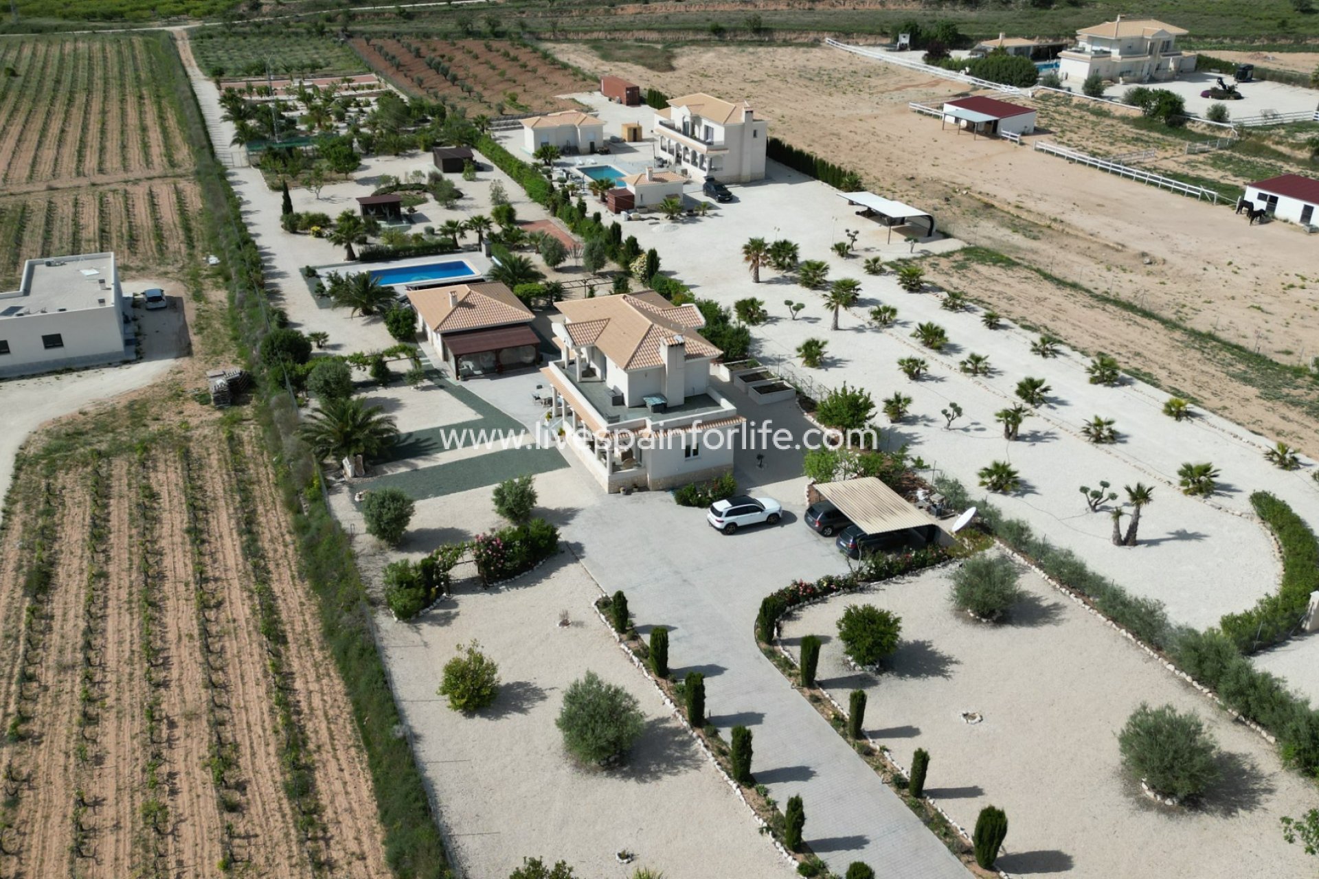 Resale - Villa (detached) -
Pinoso