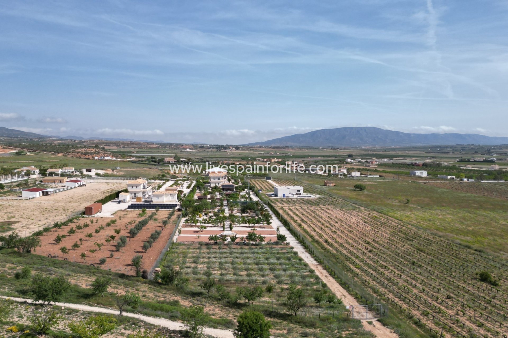 Resale - Villa (detached) -
Pinoso