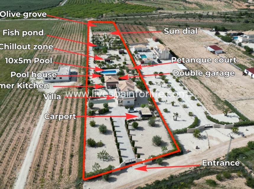 Resale - Villa (detached) -
Pinoso