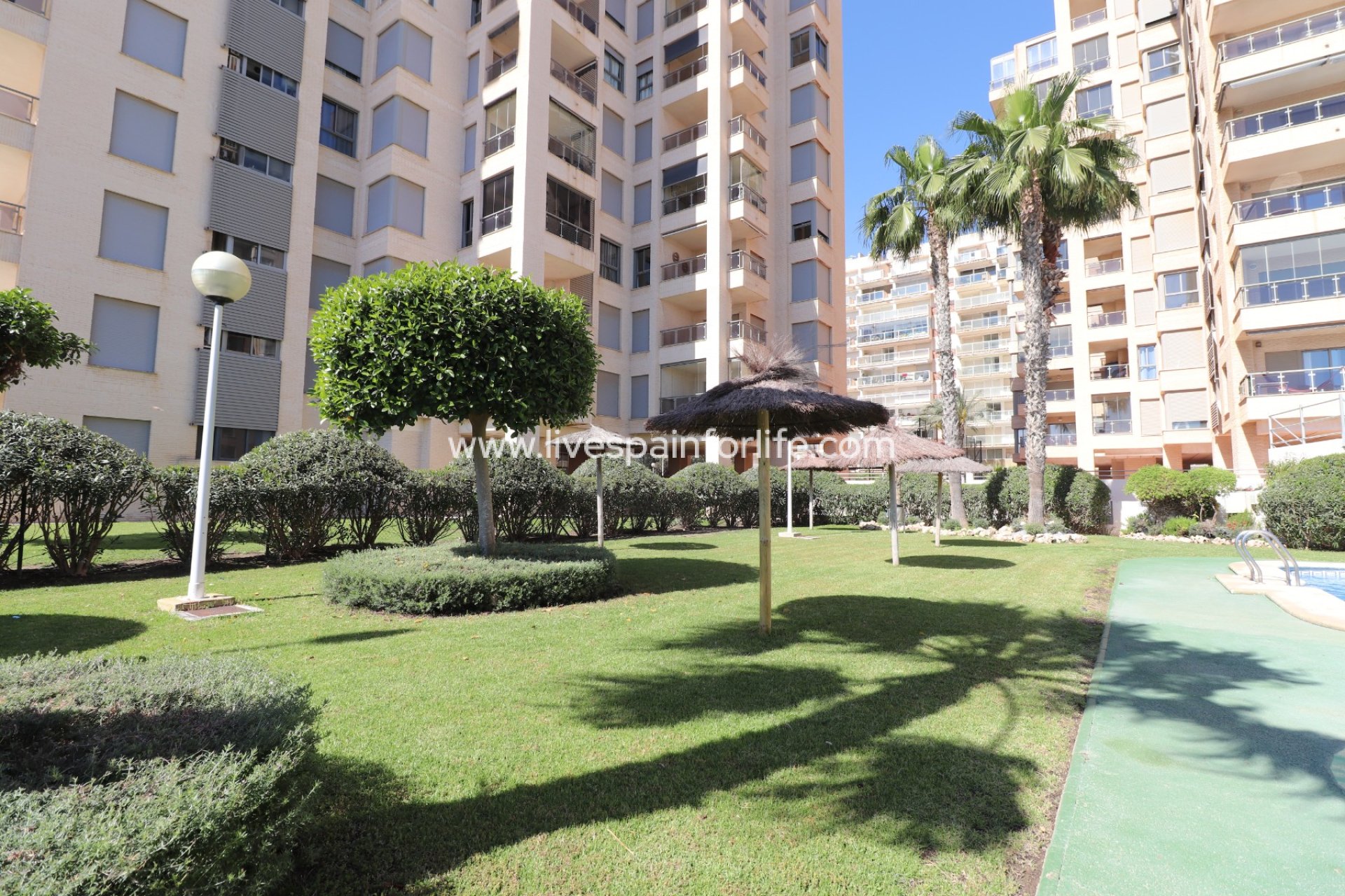 Reventa - Apartments -
Guardamar del Segura - Guardamar