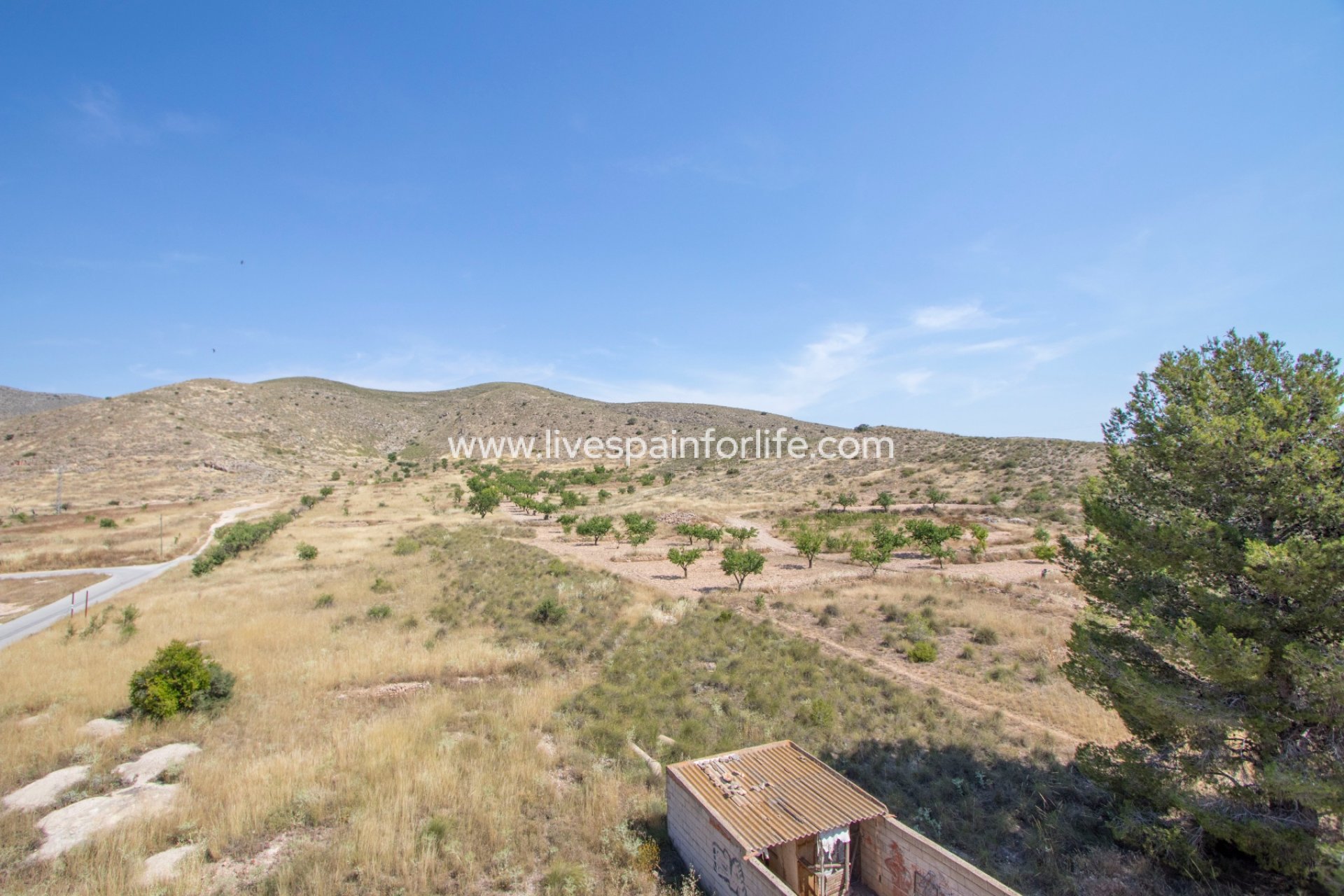 Reventa - Apartments -
Hondon De Las Nieves - Hondon De Los Frailes