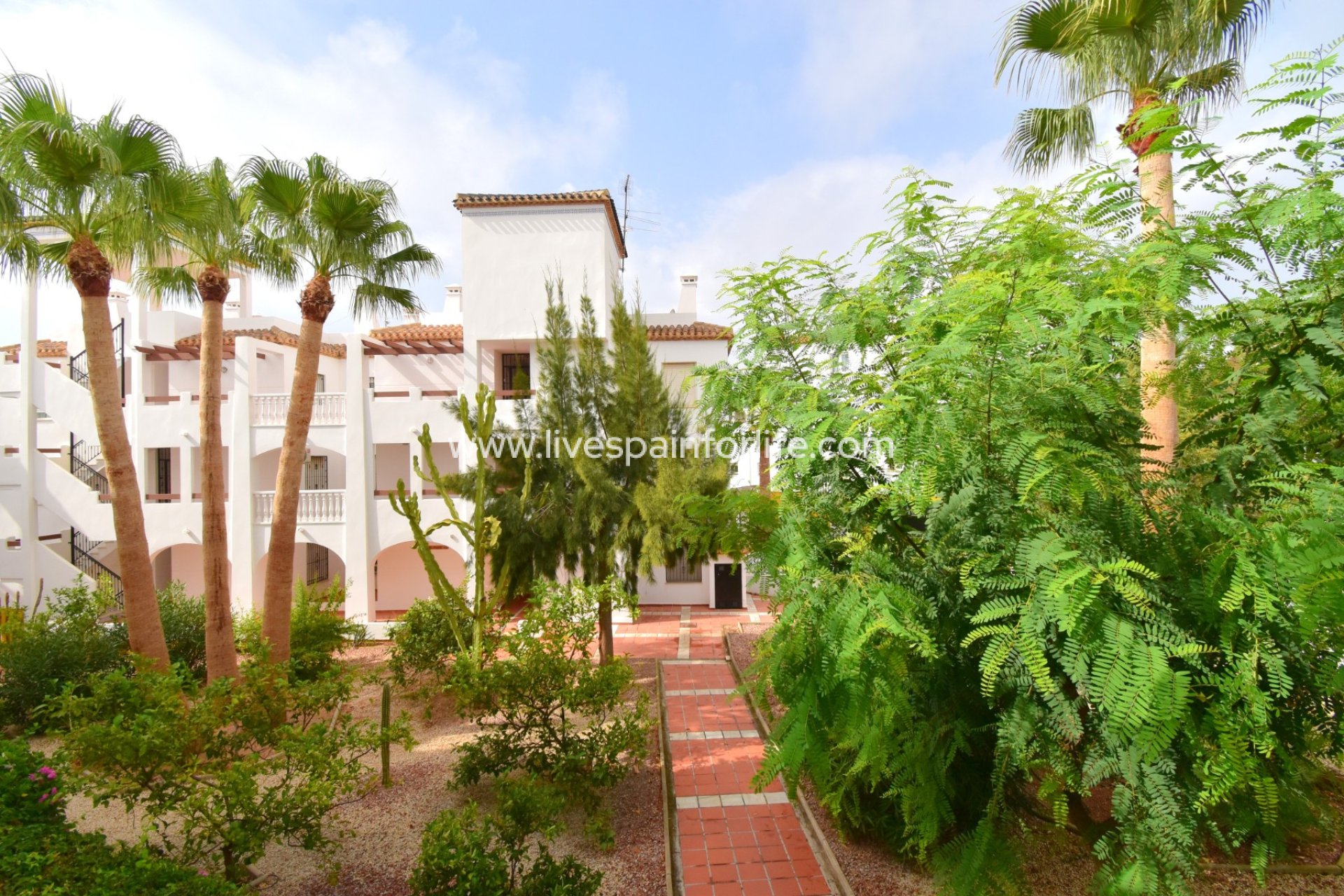 Reventa - Apartments -
Orihuela Costa - Villamartin