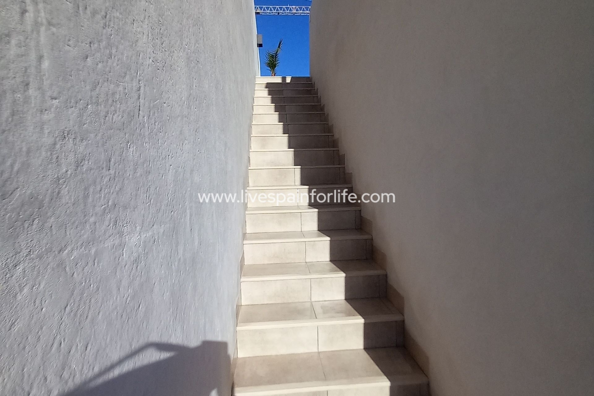 Reventa - Apartments -
San Miguel De Salinas