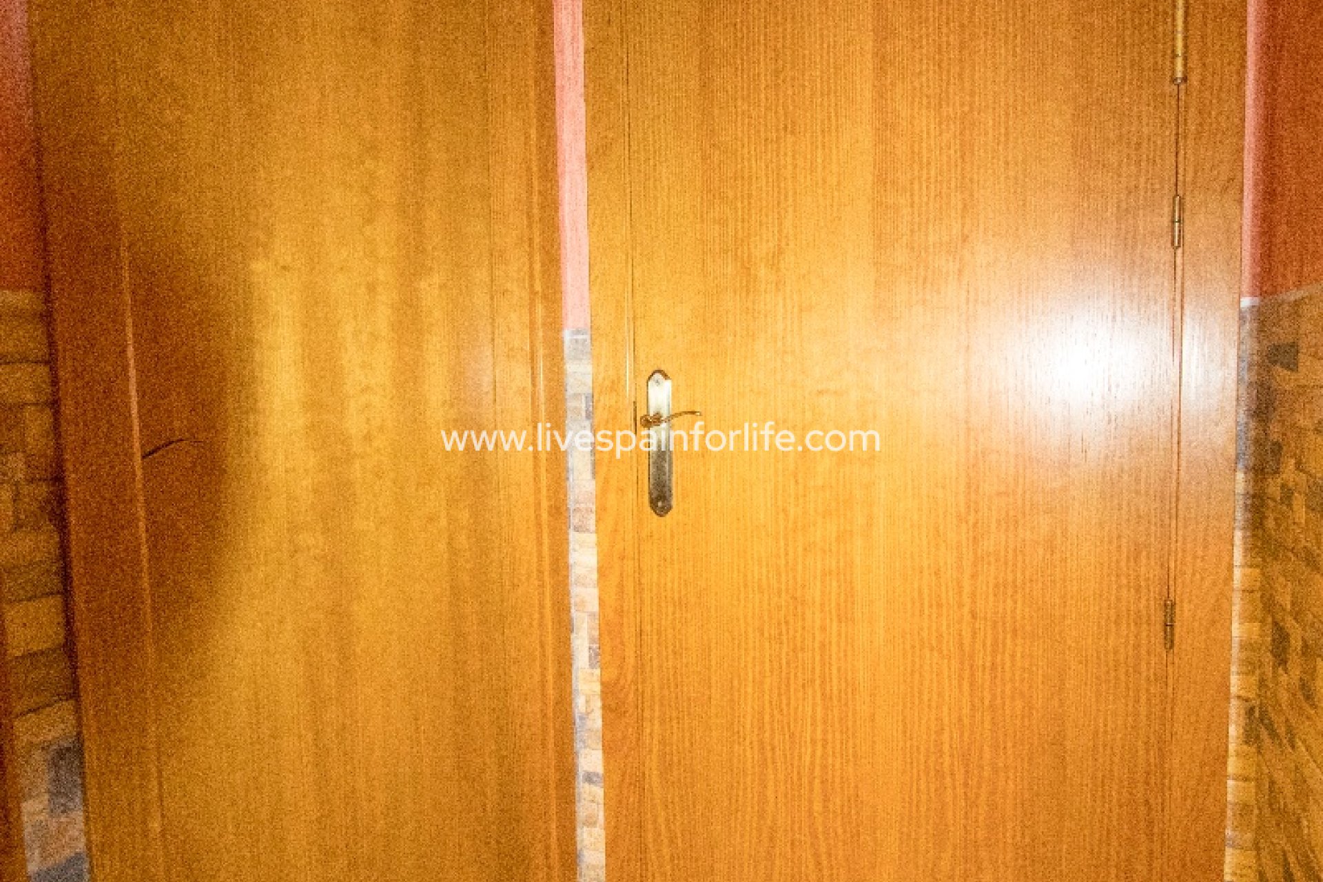 Reventa - Commercial -
Albatera