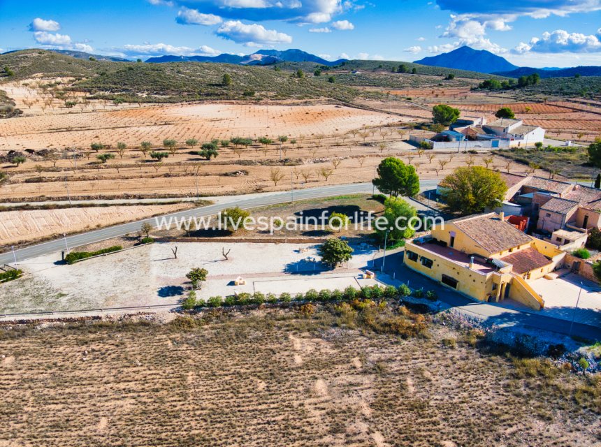 Reventa - Commercial -
Alicante