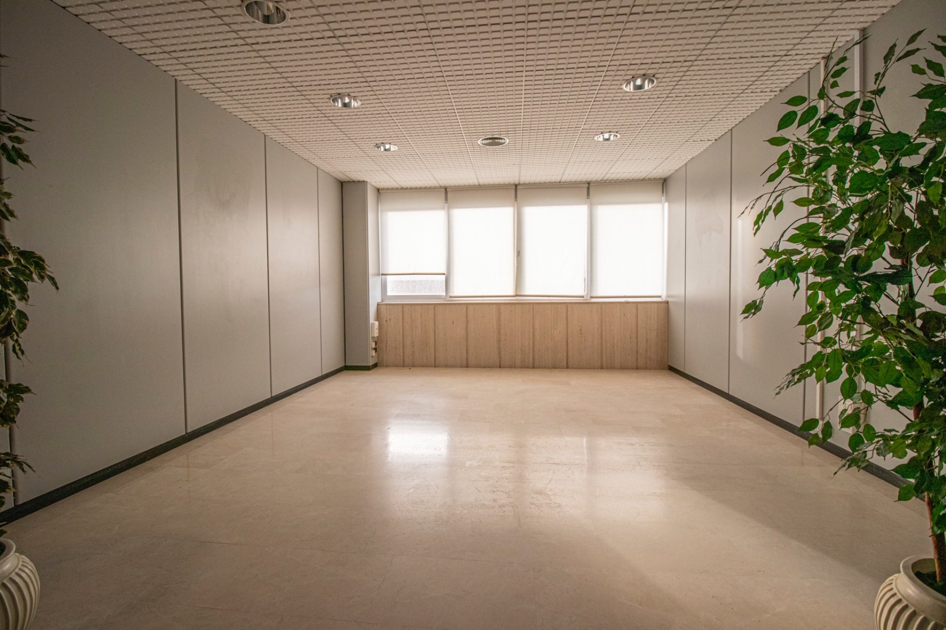 Reventa - Commercial -
Elche