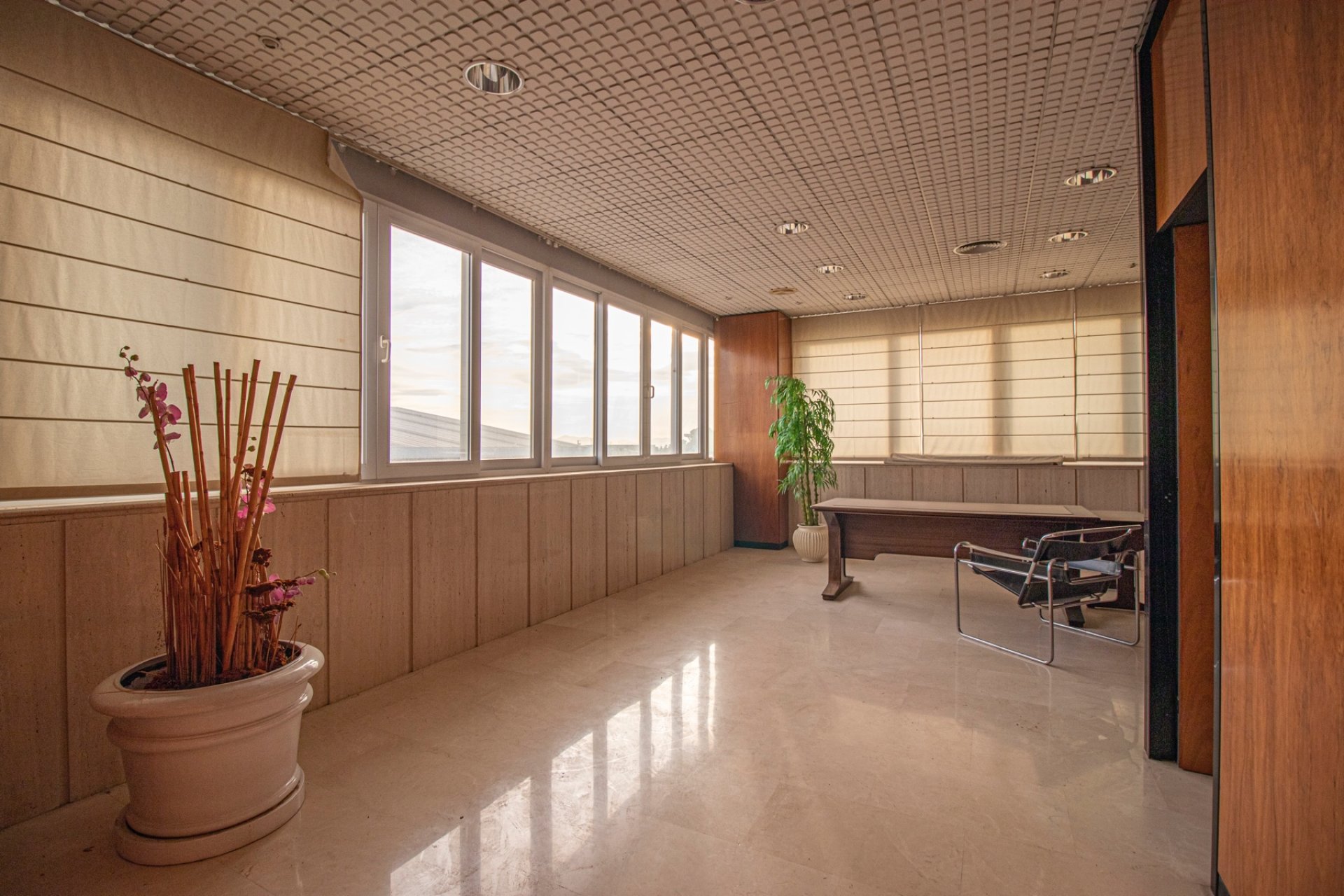 Reventa - Commercial -
Elche