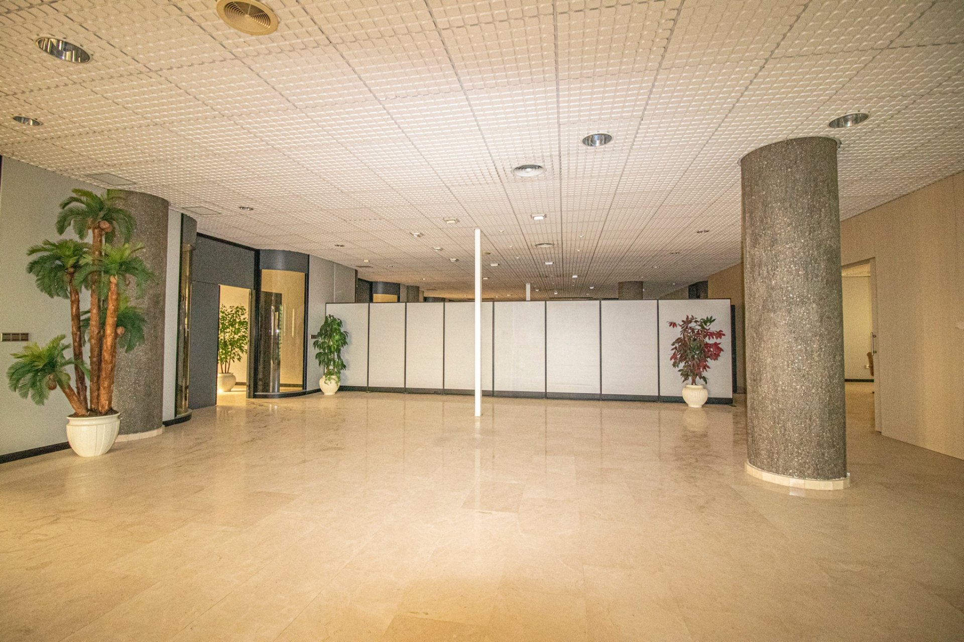 Reventa - Commercial -
Elche