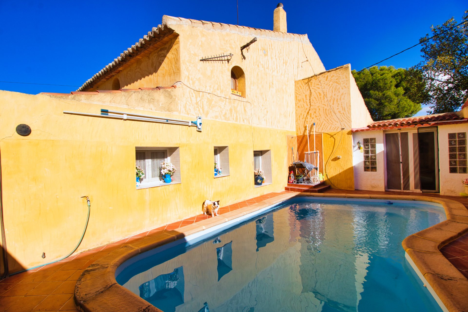 Reventa - Country house -
Abanilla