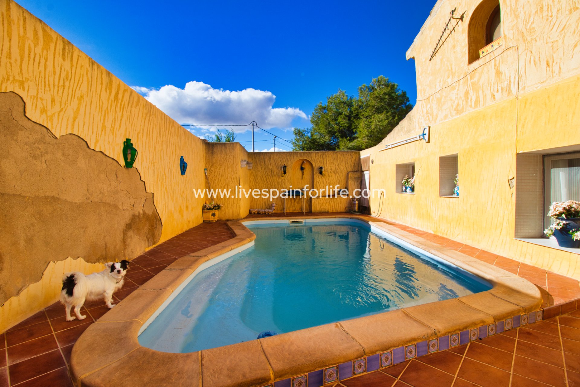 Reventa - Country house -
Abanilla