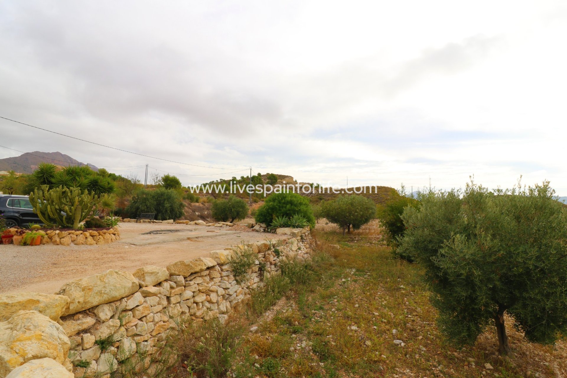 Reventa - Country house -
Abanilla