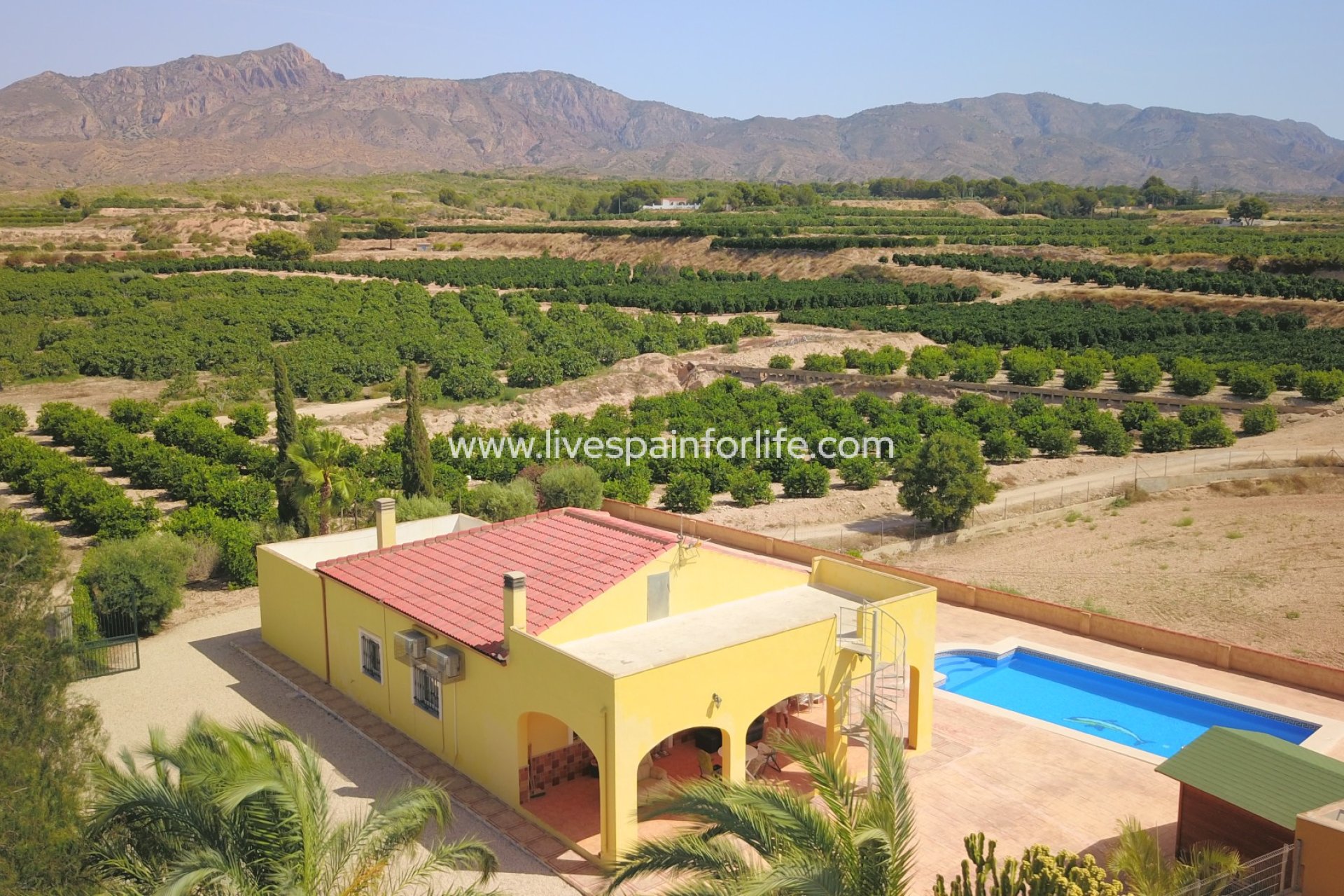Reventa - Country house -
Albatera - Albatera - Country