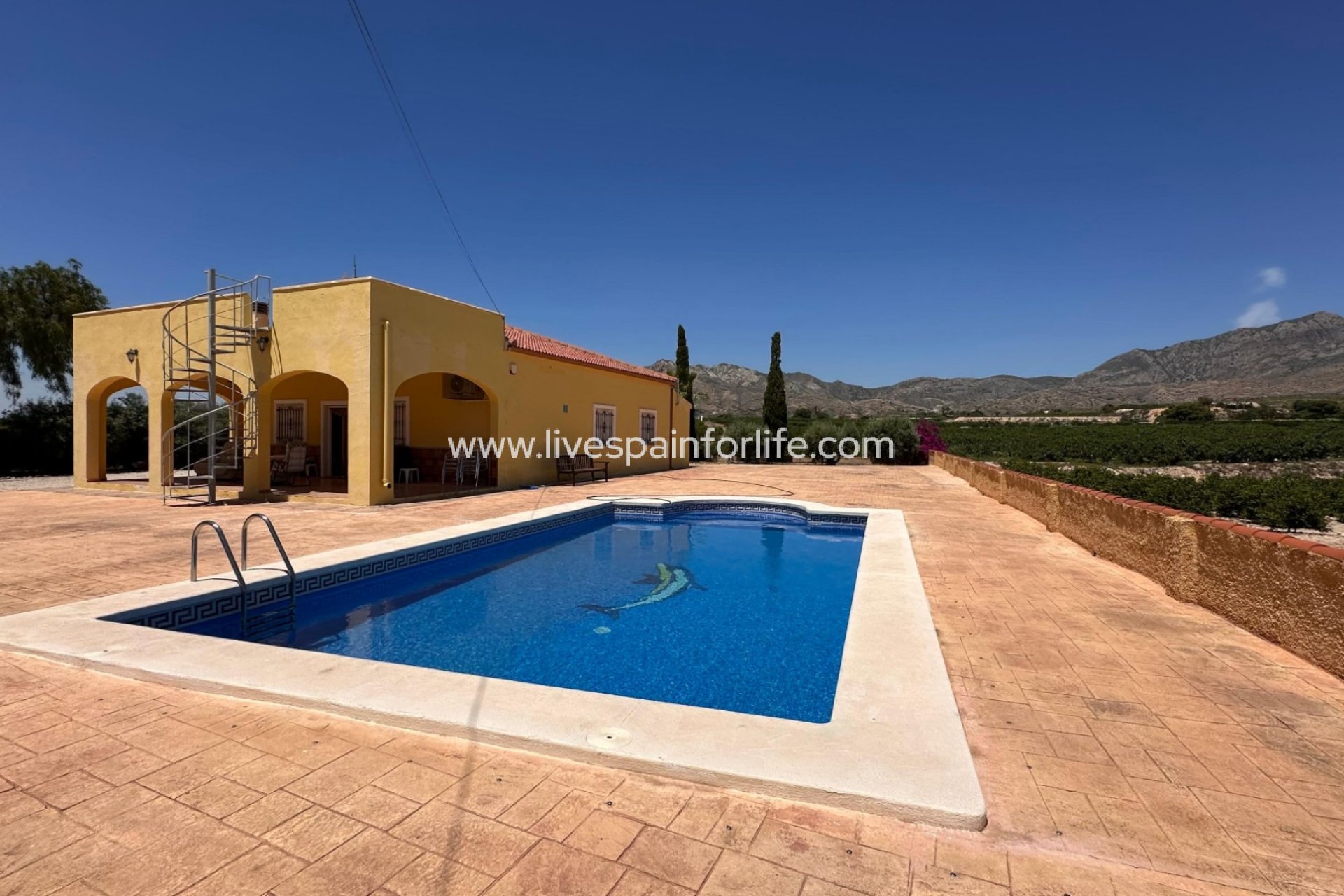 Reventa - Country house -
Albatera - Albatera - Country