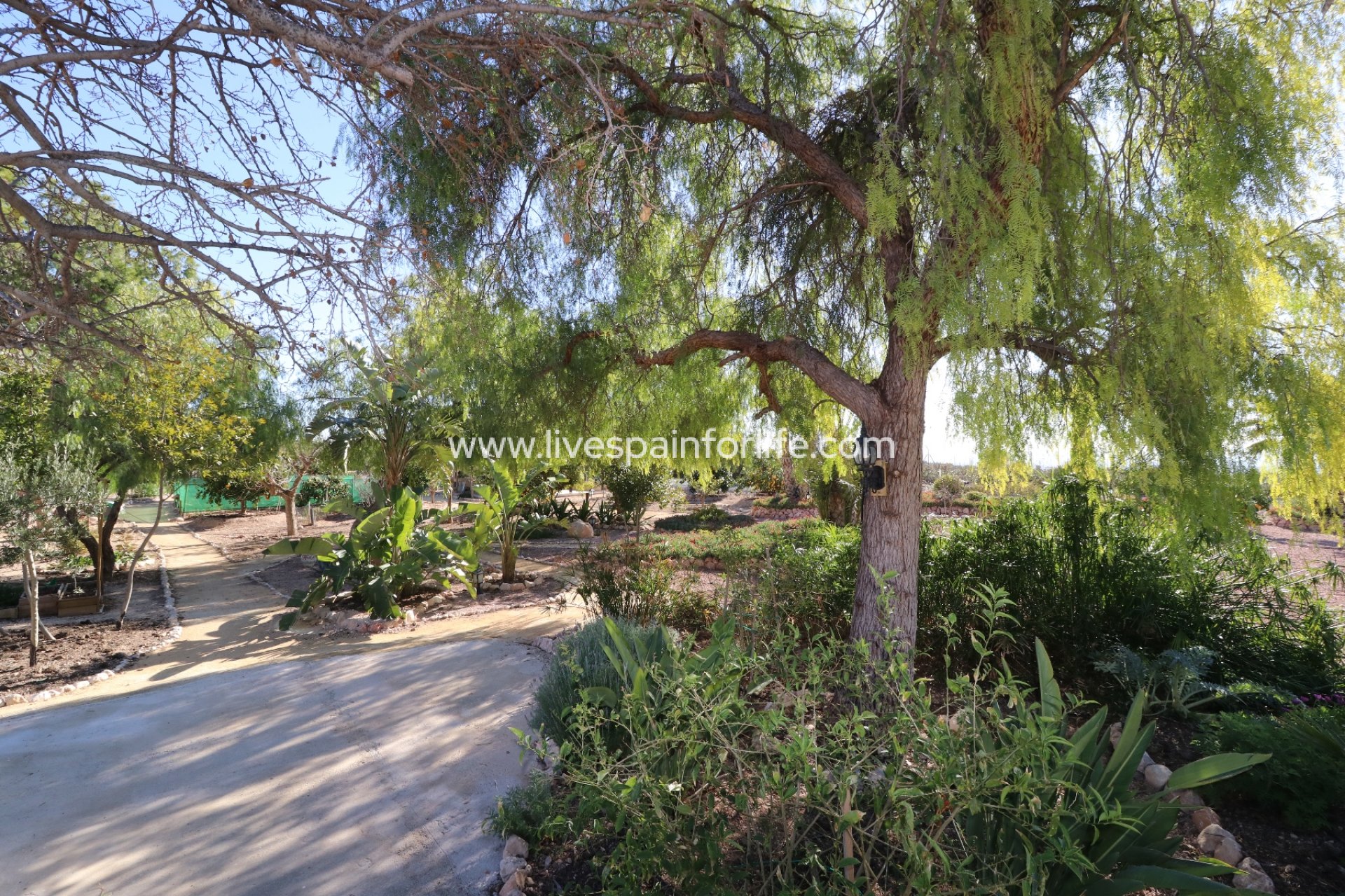 Reventa - Country house -
Albatera